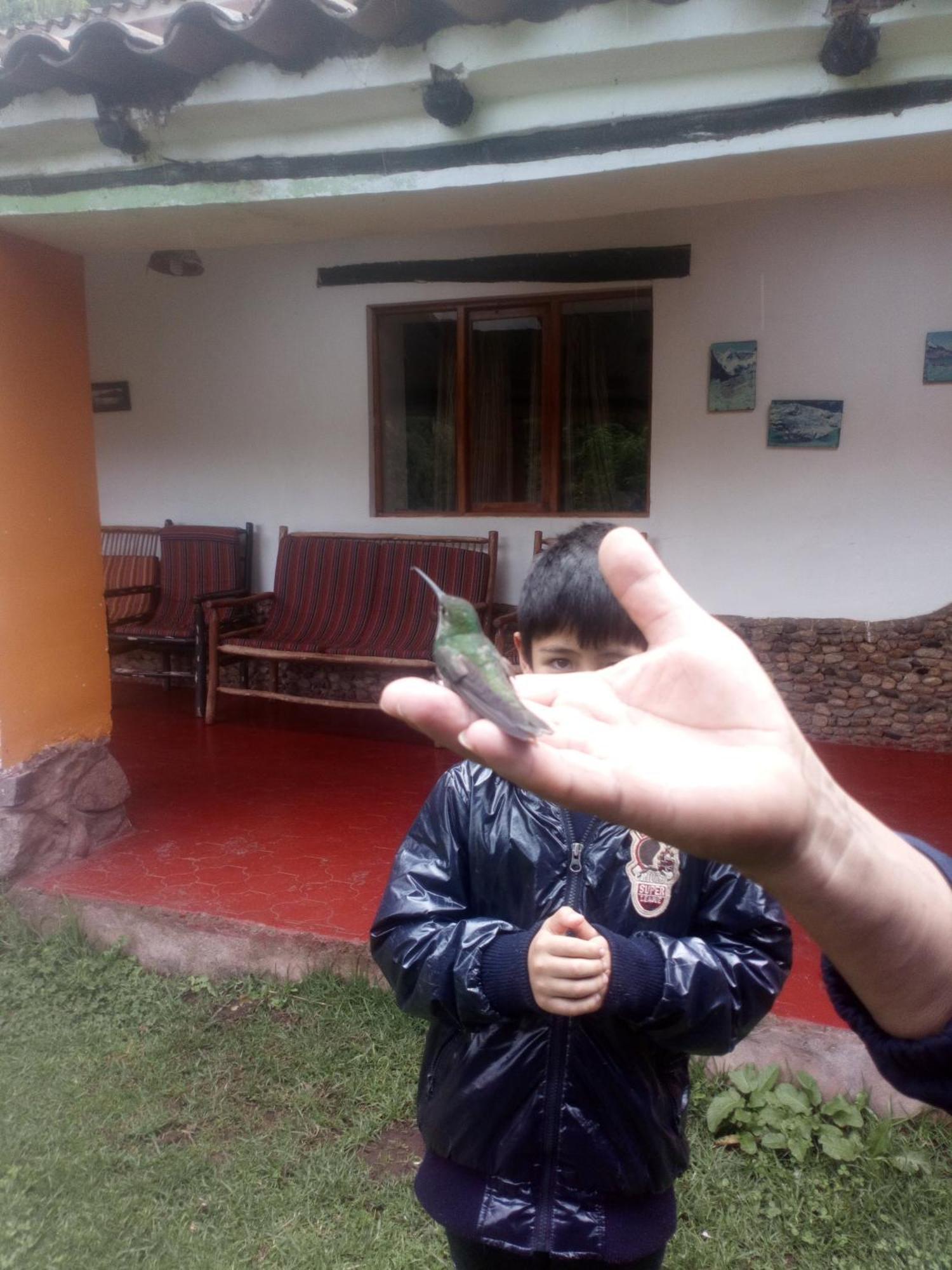 Ecolodge Ccatan Urubamba Exterior photo
